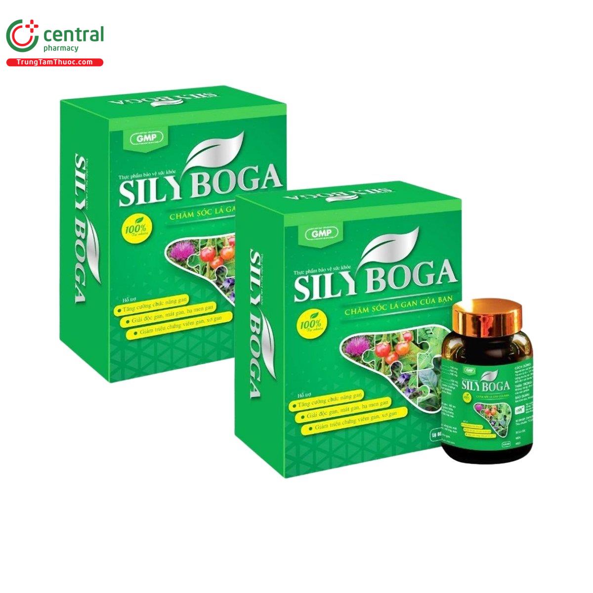 sily boga 2 F2706