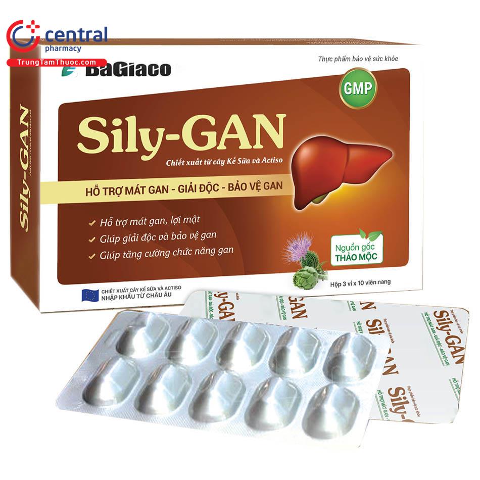 sily gan 1 K4260