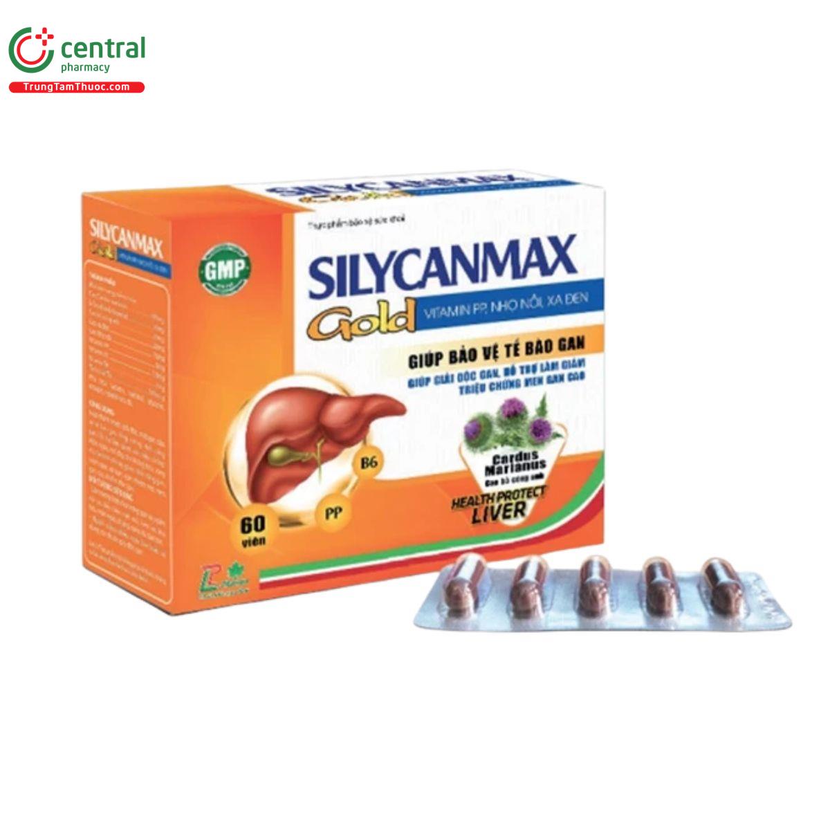 silycanmax gold 1 A0653