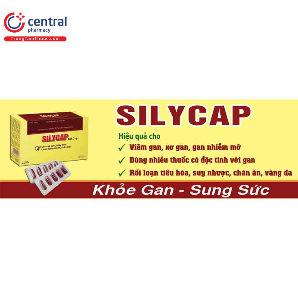 silycap 4 F2343