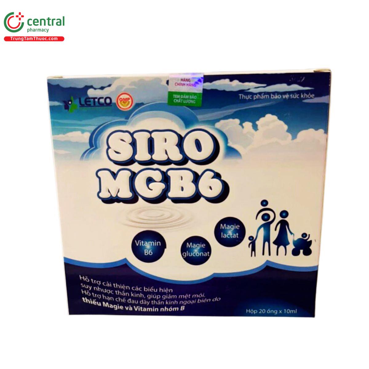 siro mgb6 letco 3 D1030