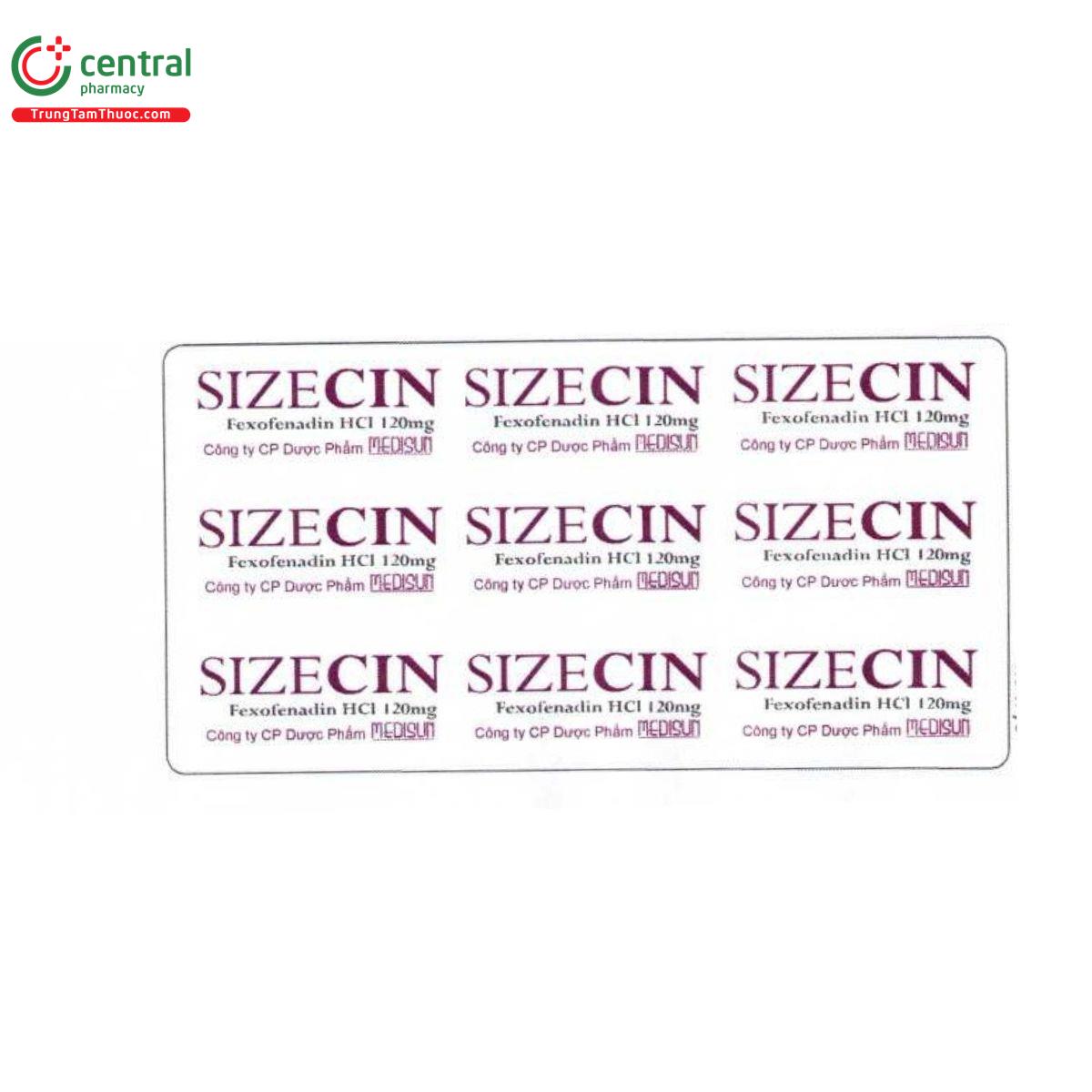 sizecin 120mg 2 F2501