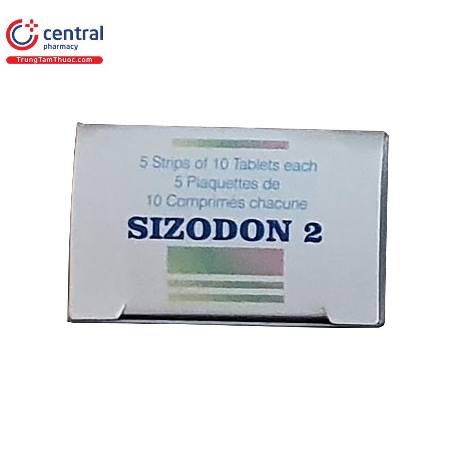 sizodon 2 5 H3803