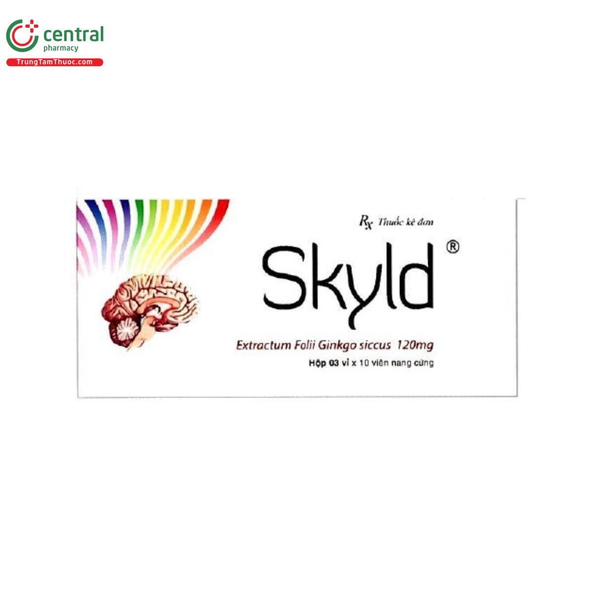 skyld 120mg 4 K4063
