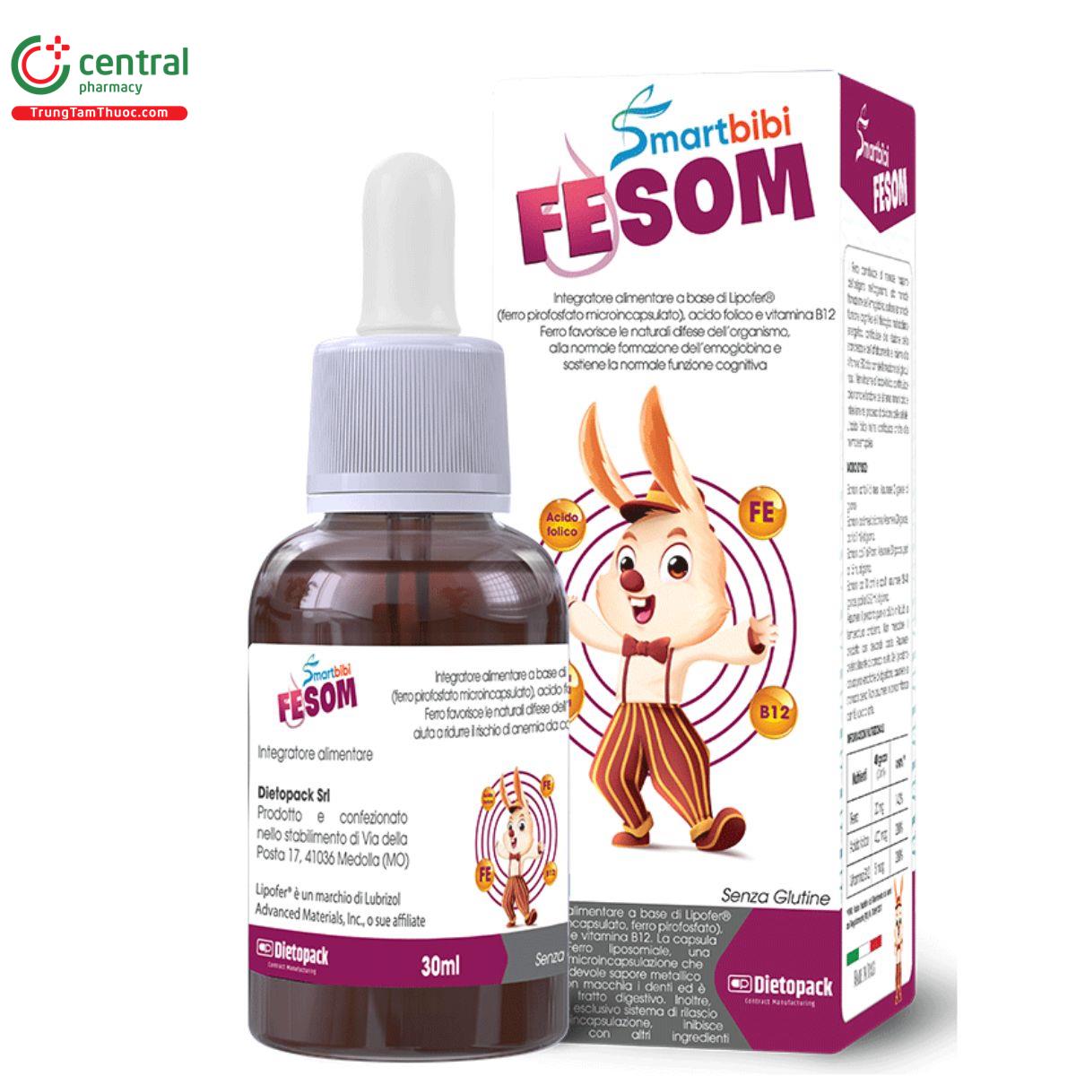 smartbibi fesom 1 G2048