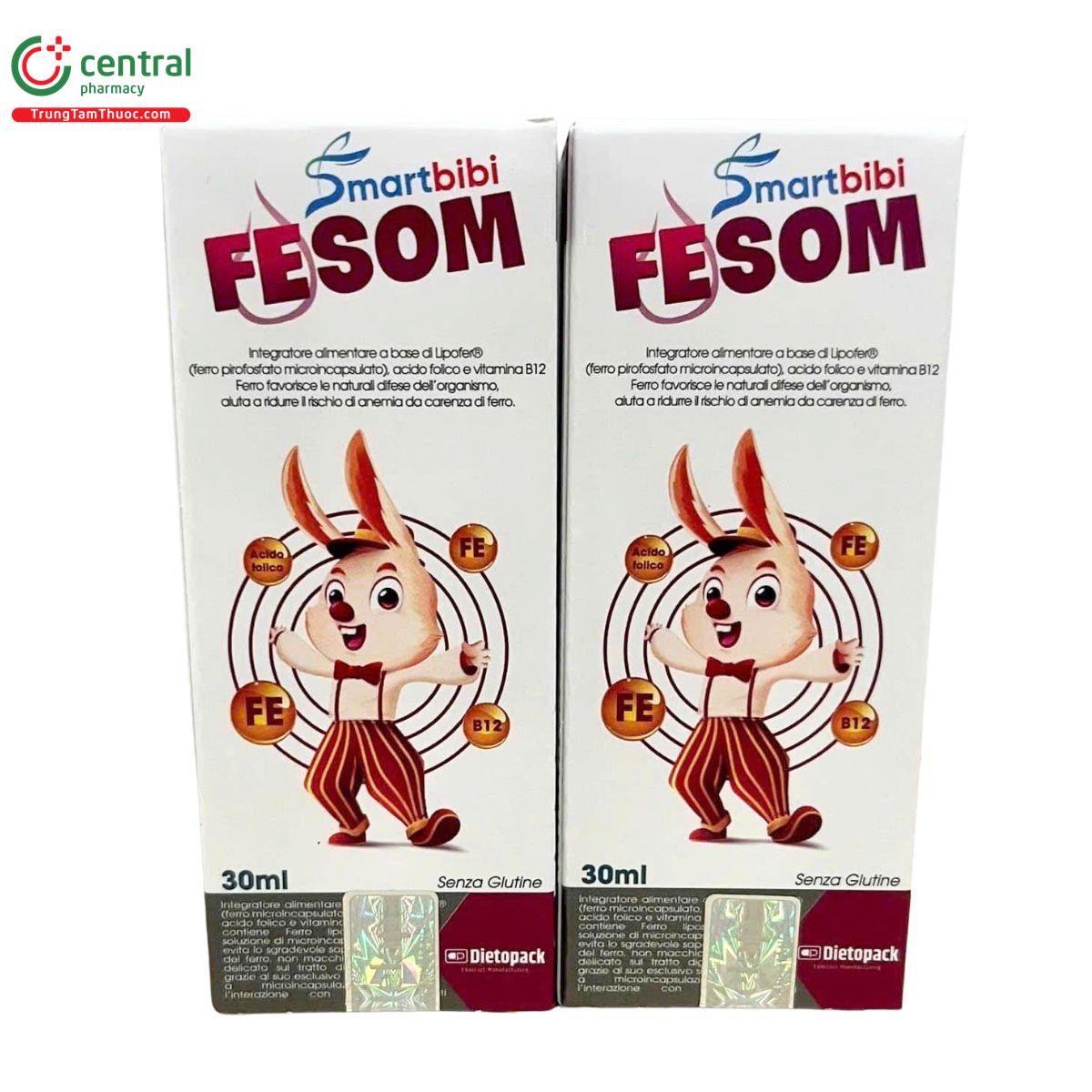 smartbibi fesom 2 R7741