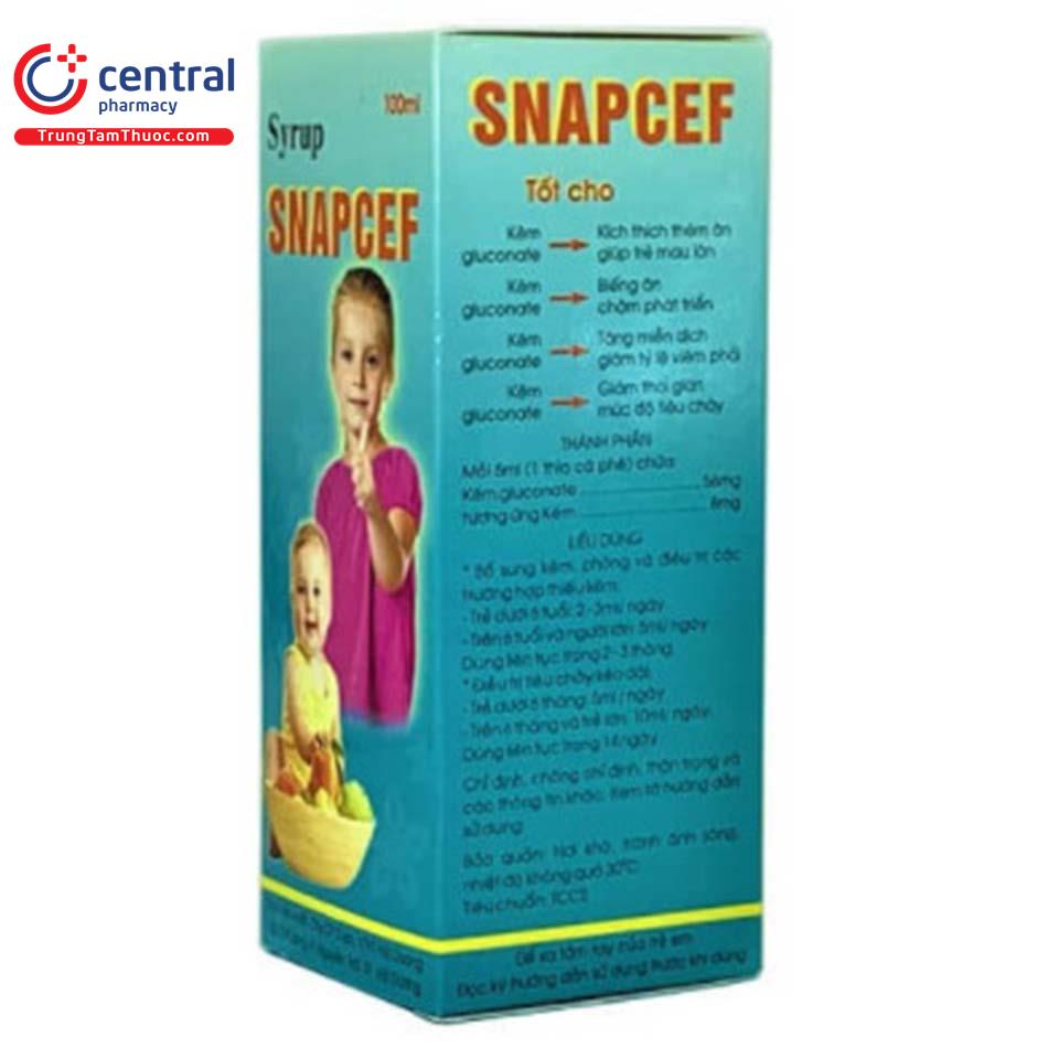 snapcef syrup chai 100ml4 V8633