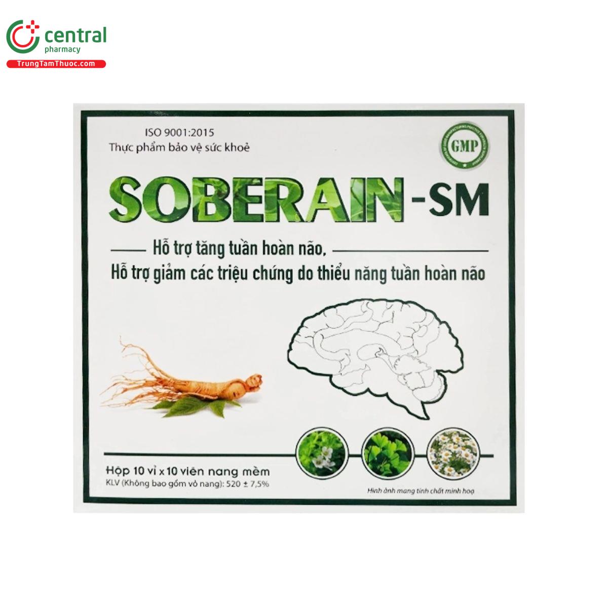 soberain sm 1 I3881