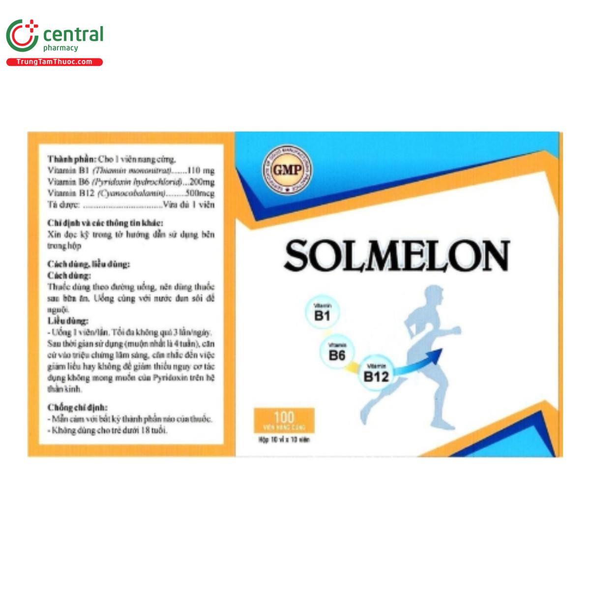 solmelon 1 T8463