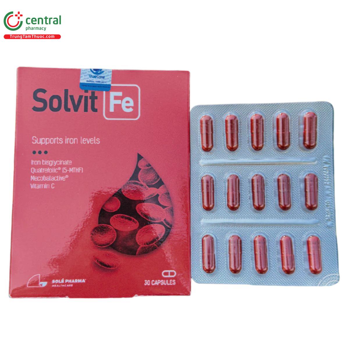 solvit fe 2 J3731