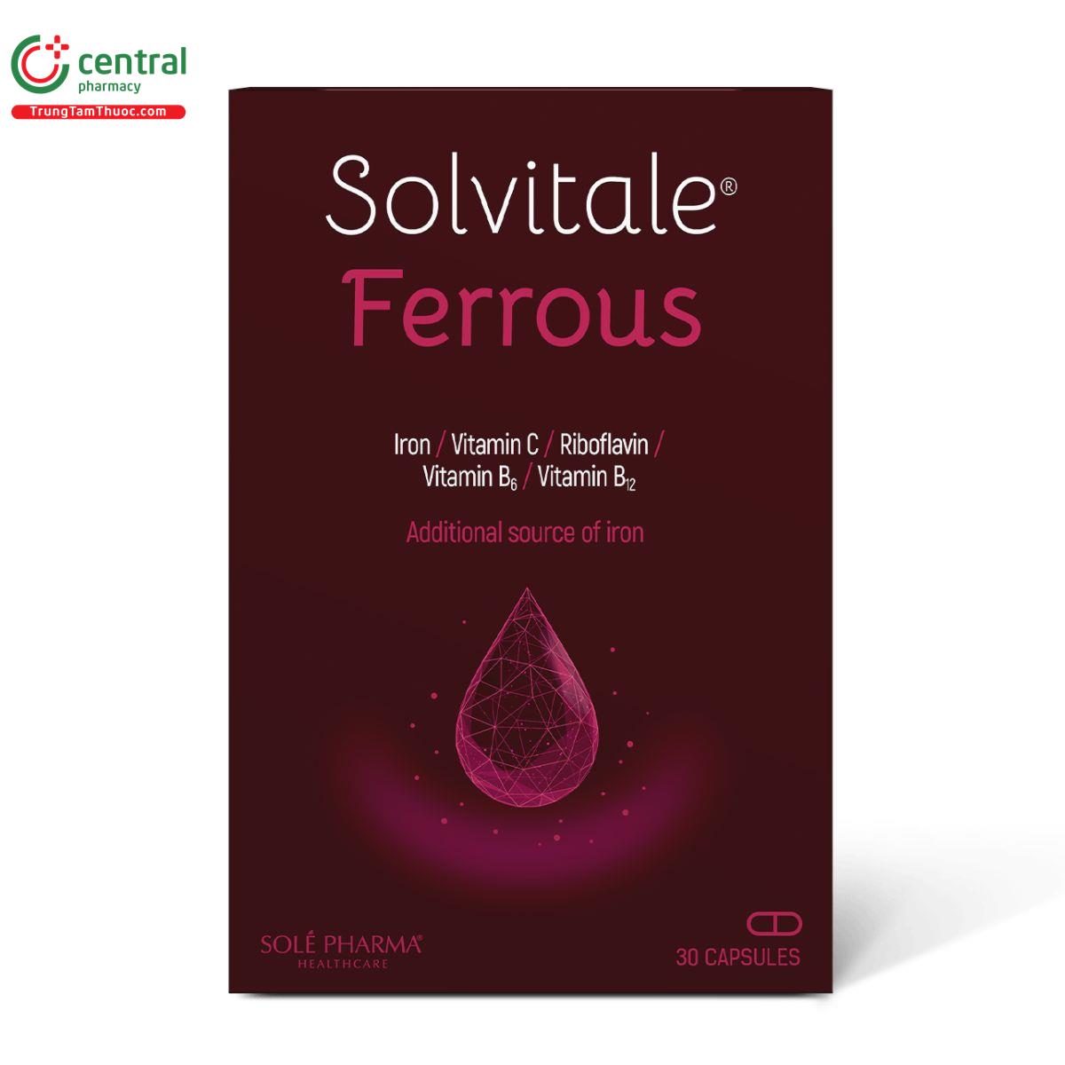 solvitale ferrous 2 D1321