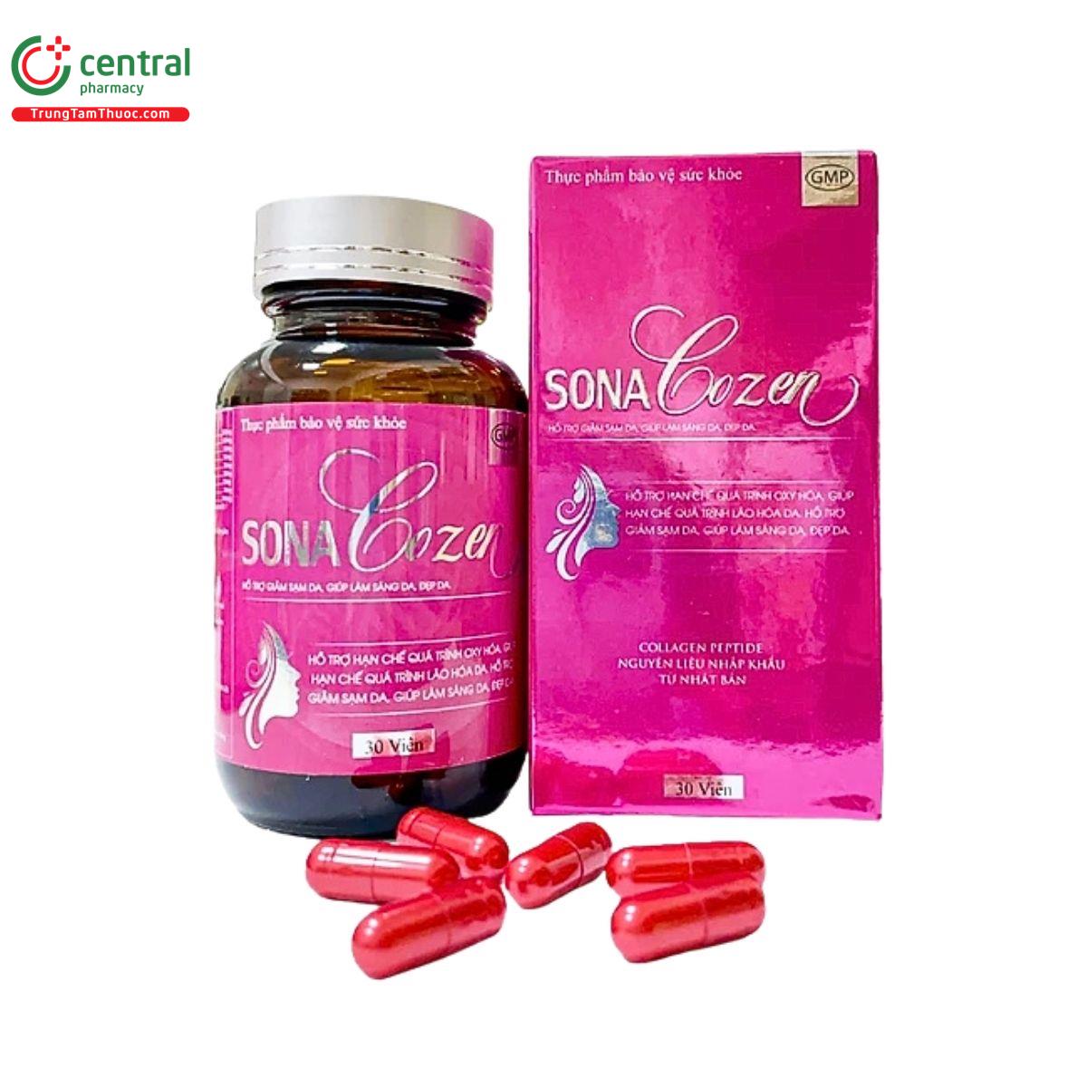 sonacozen 1 H2107 sonacozen 1 H2107