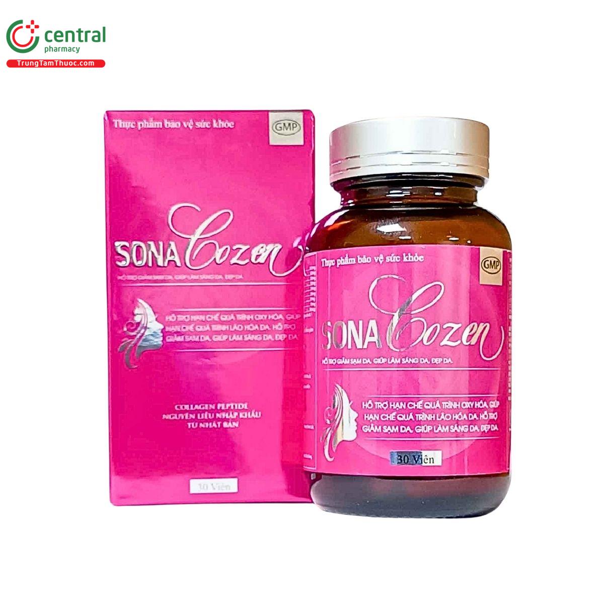 sonacozen 2 I3175 sonacozen 2 I3175