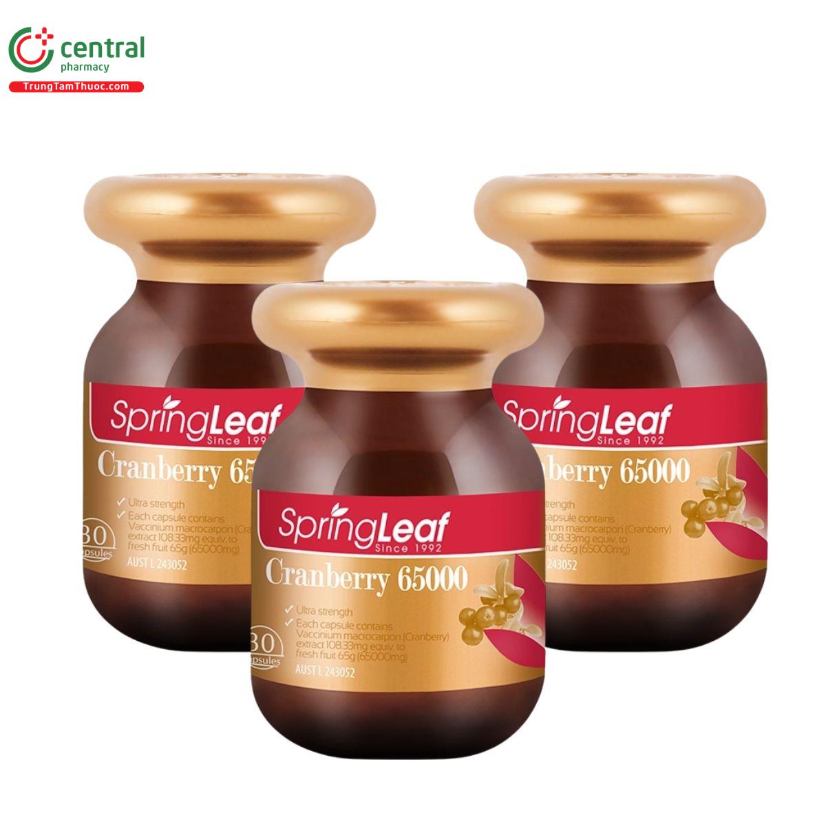 springleaf cranberry 65000 1 K4072 springleaf cranberry 65000 1 K4072