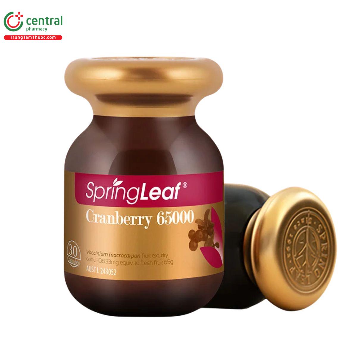 springleaf cranberry 65000 2 R6618 springleaf cranberry 65000 2 R6618