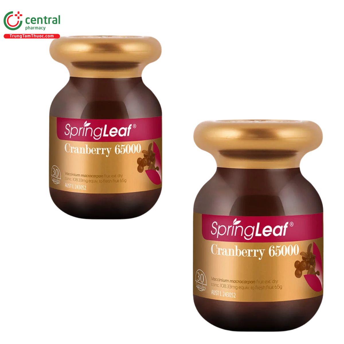 springleaf cranberry 65000 3 B0455 springleaf cranberry 65000 3 B0455