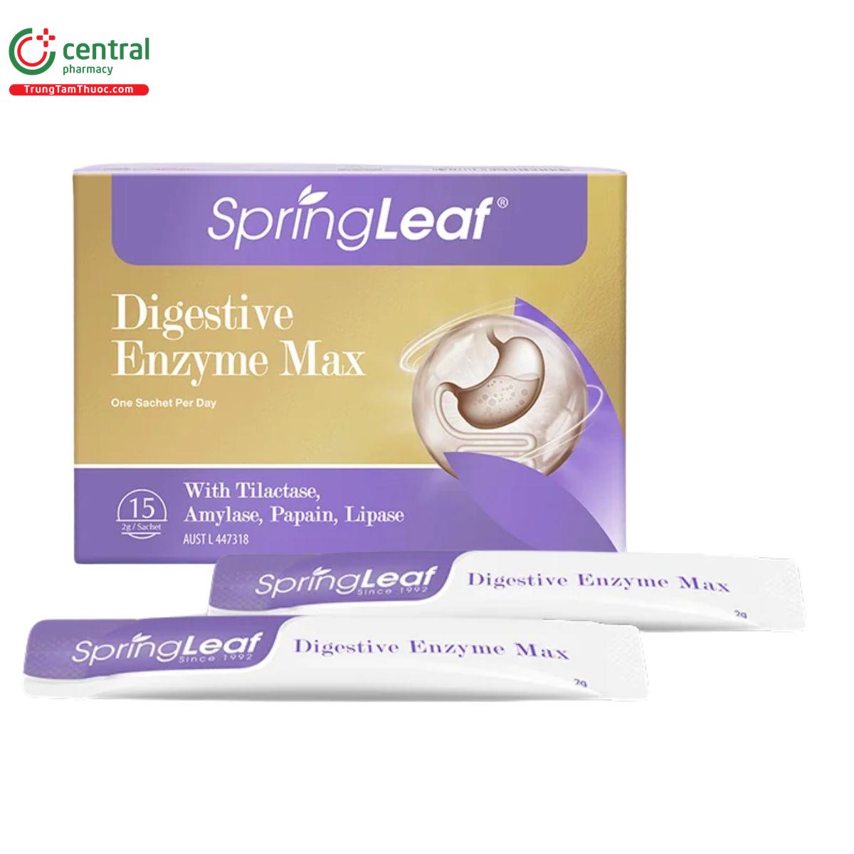 springleaf digestive enzymes max 2 K4808 springleaf digestive enzymes max 2 K4808