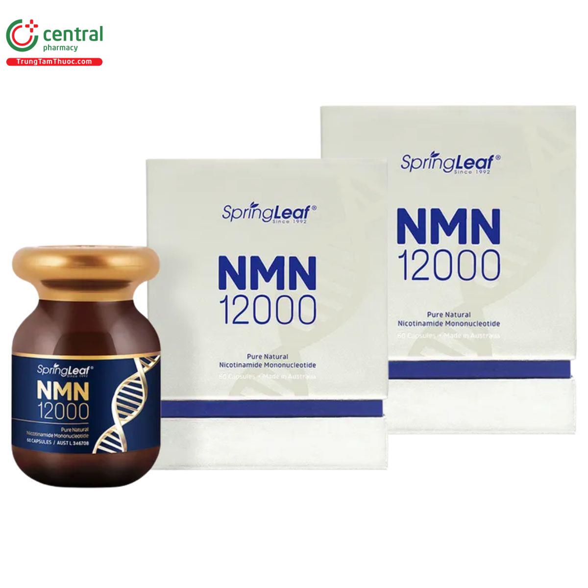springleaf nmn 12000 1 G2240