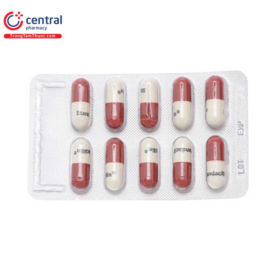 standacillin 500mg 2 L4301