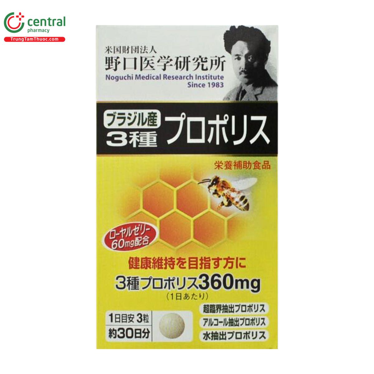 sua ong chua propolis noguchi 2 J3452