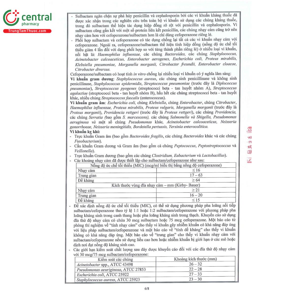 sucefone 3g 10 Q6005