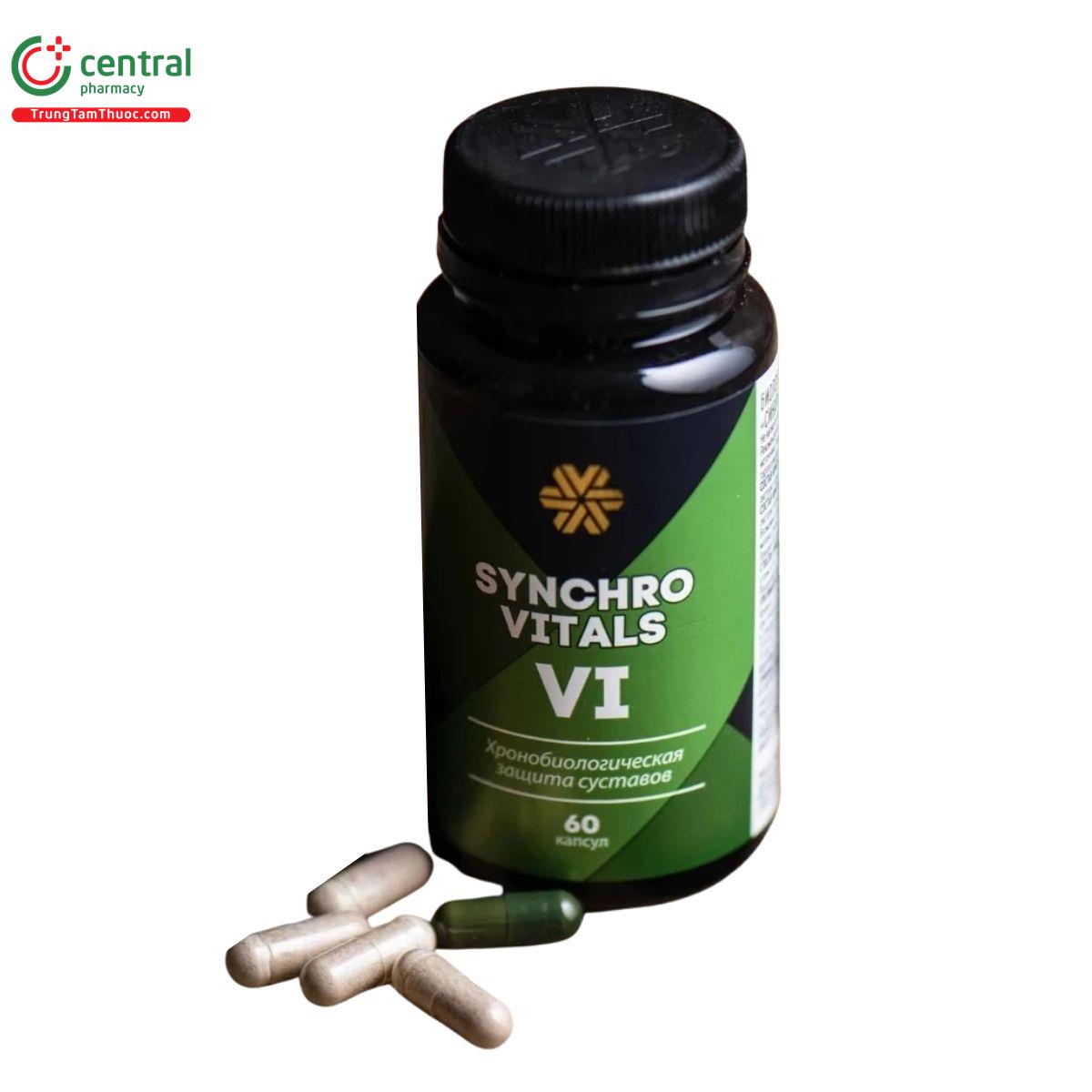 synchrovitals vi 3 E2600