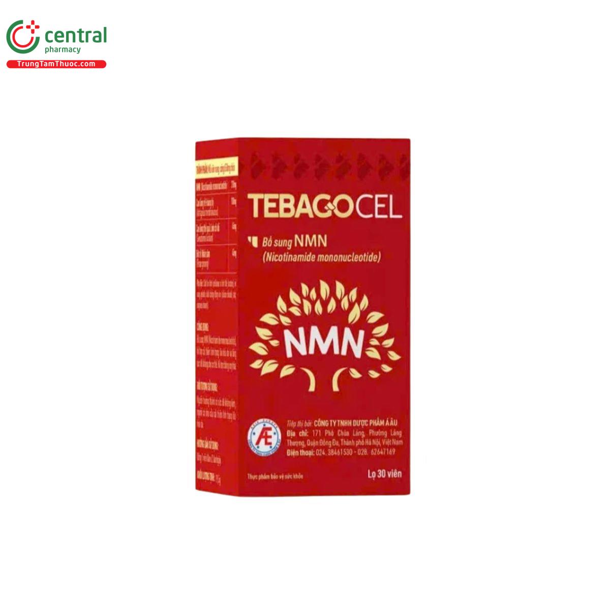 tebagocel 2 G2400