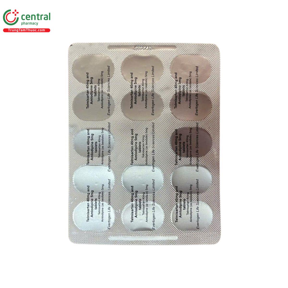 telmisartan 40mg and amlodipine 5mg tablets evertogen 12 A0267