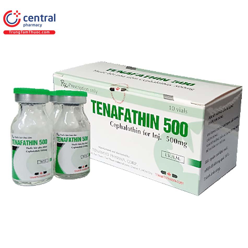 tenafathin 500 1 G2008