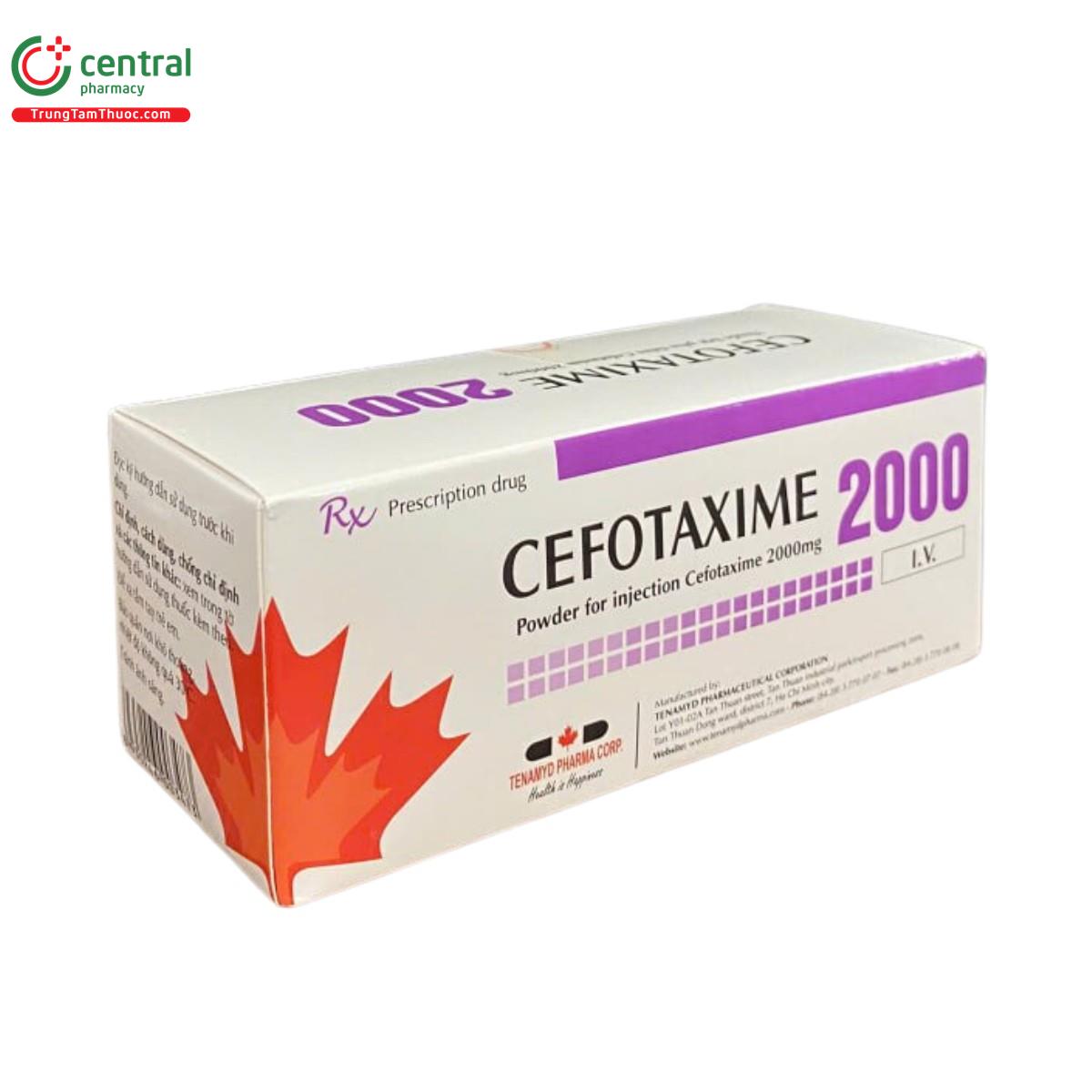 tenamyd cefotaxime 2000 3 M5811