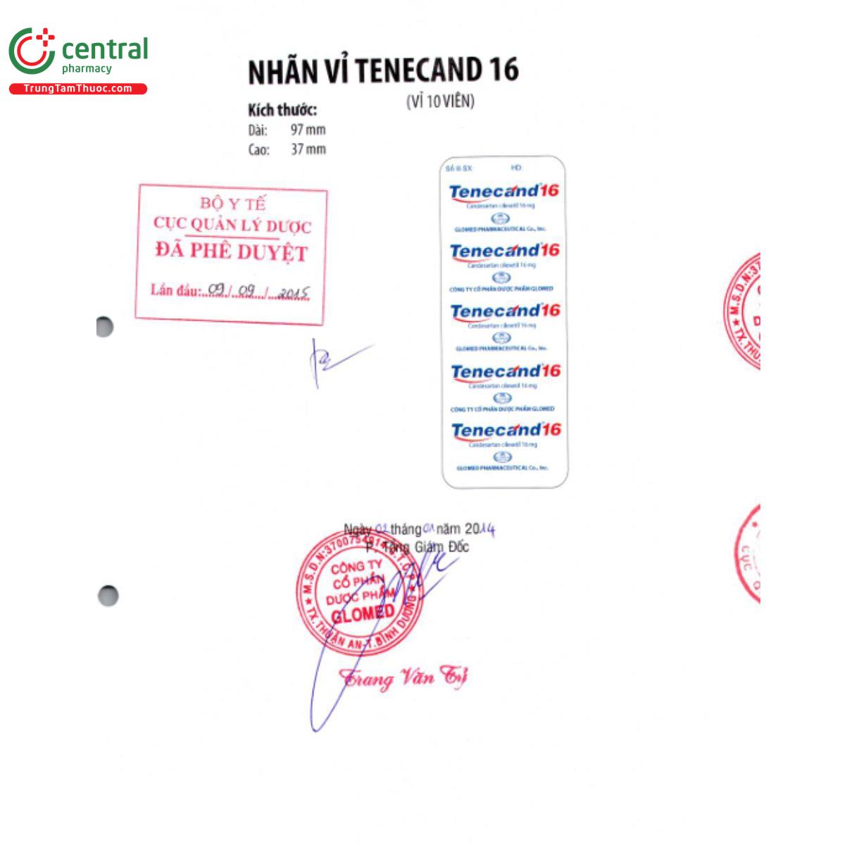 tenecand 16 44 G2373