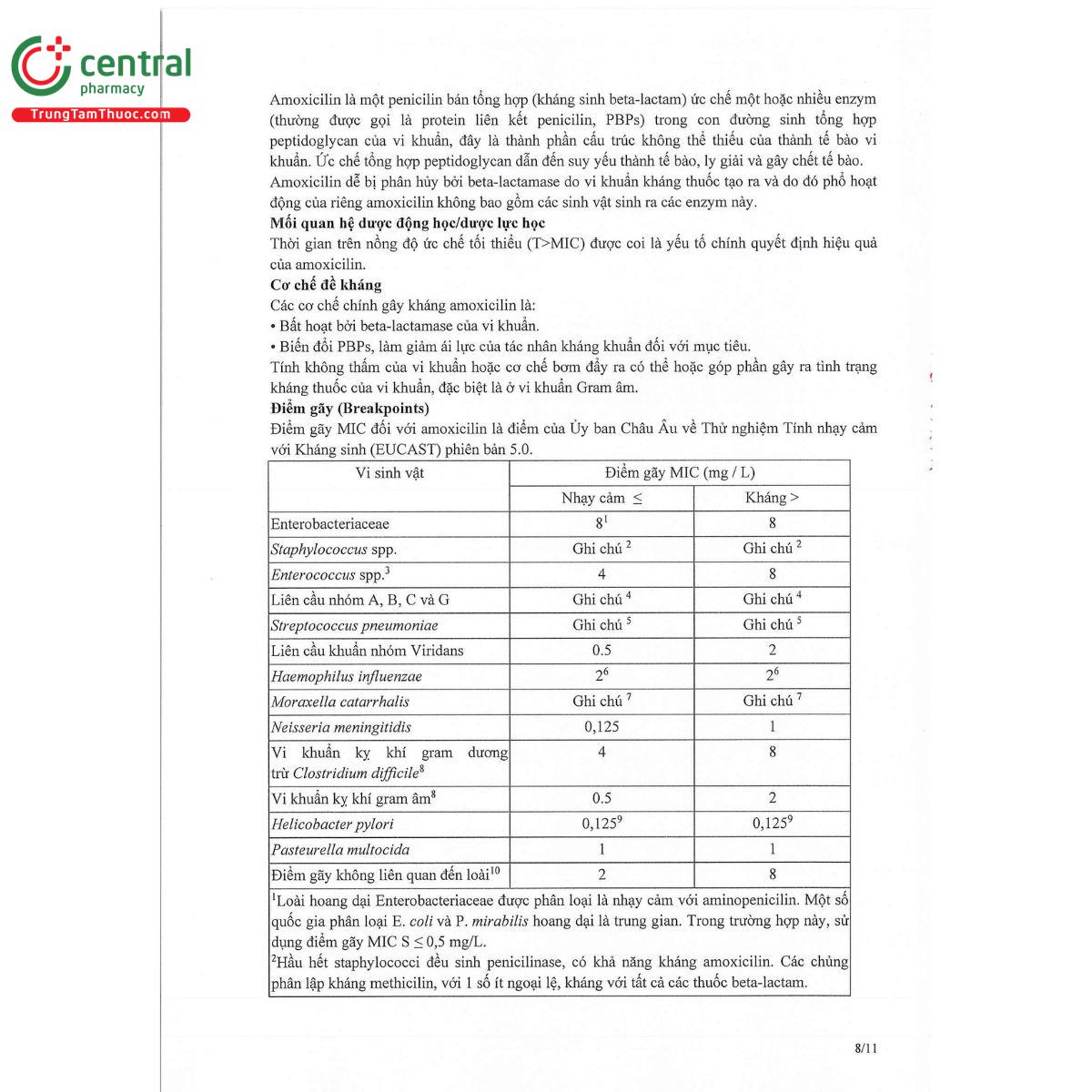 thabamox 1000 dt 12 P6743