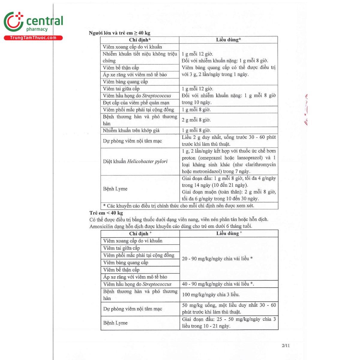 thabamox 1000 dt 6 P6556