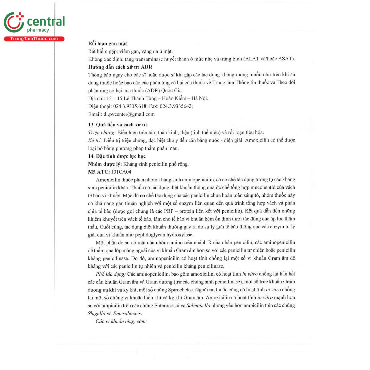 thabamox 250 dt 10 R7054