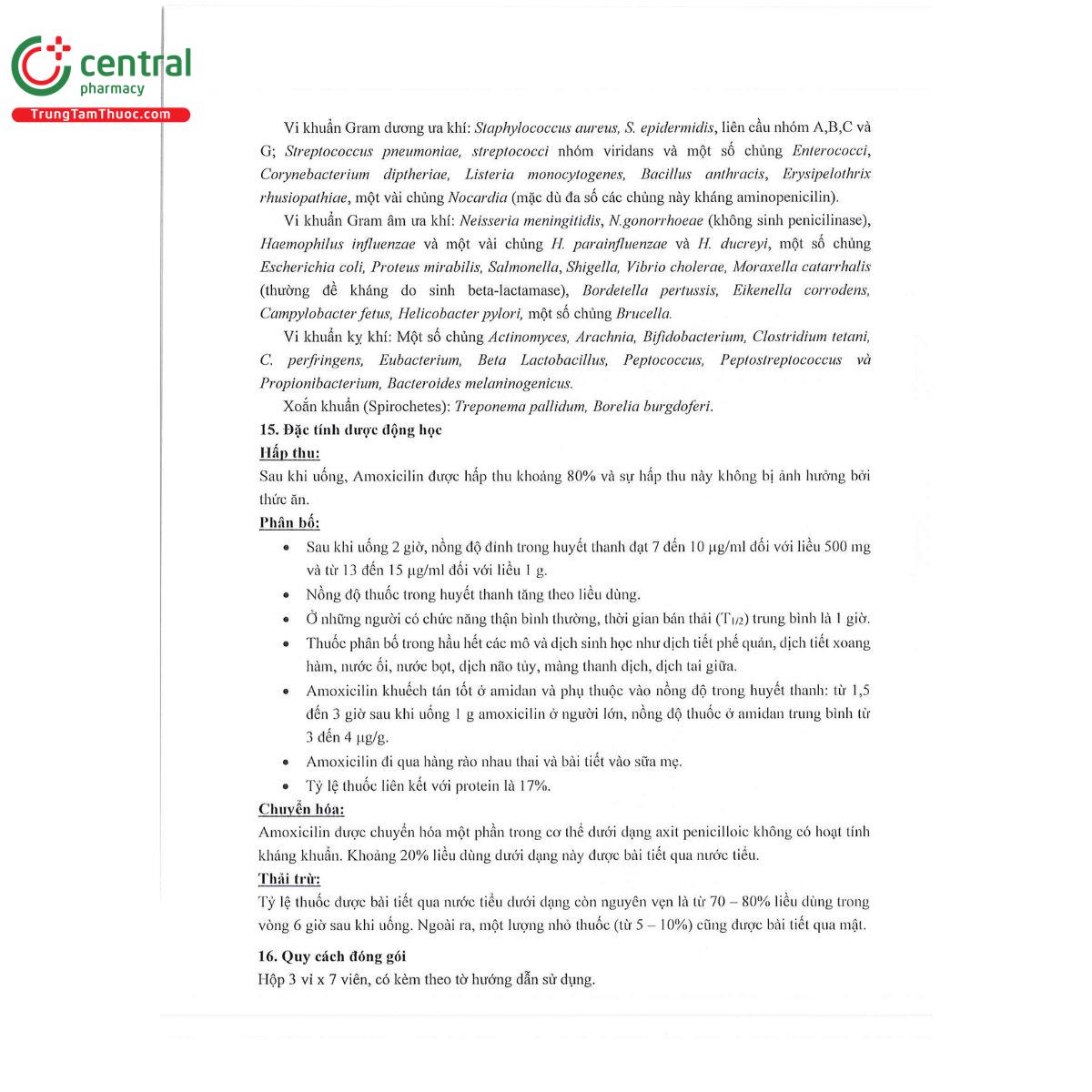 thabamox 250 dt 11 G2757