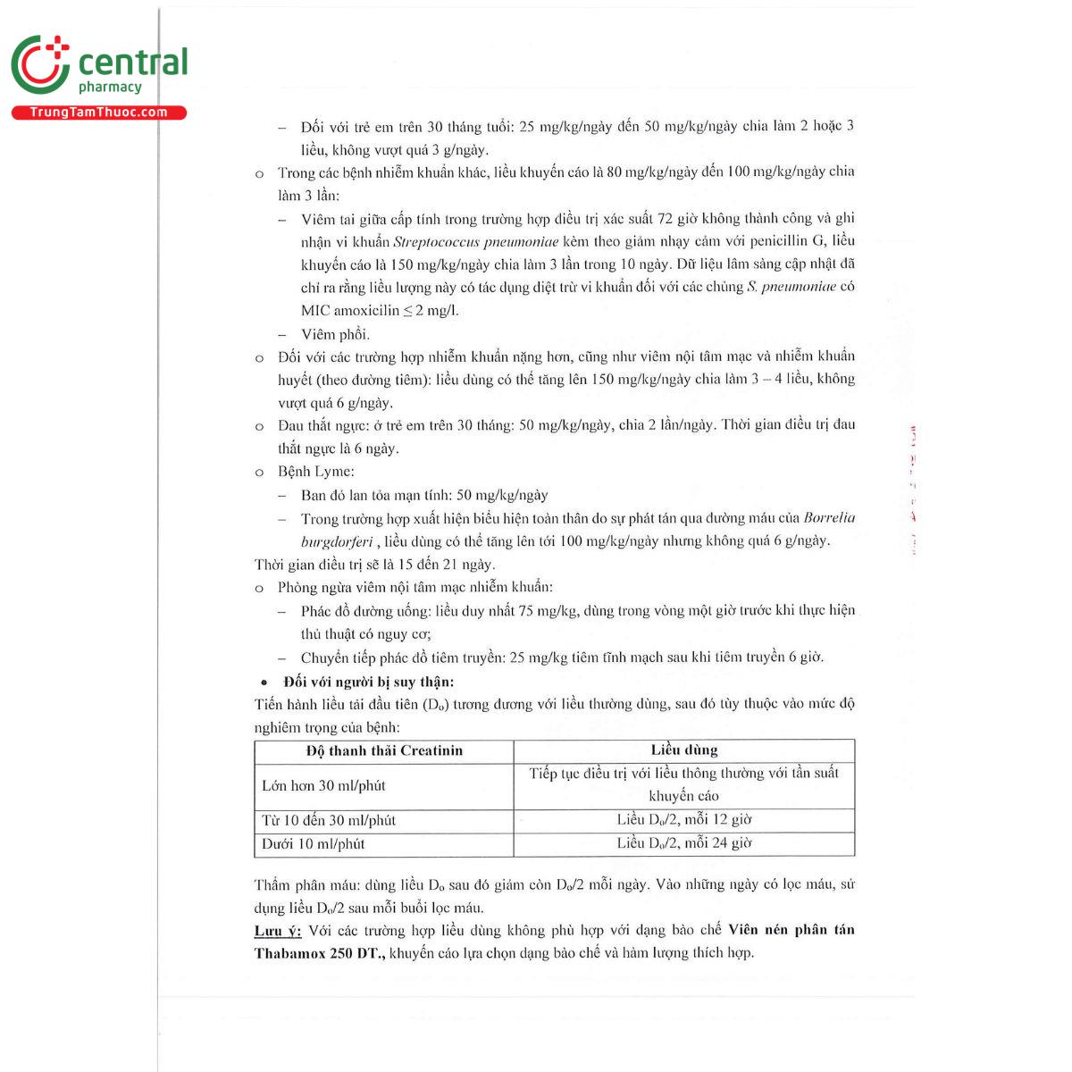 thabamox 250 dt 6 B0504