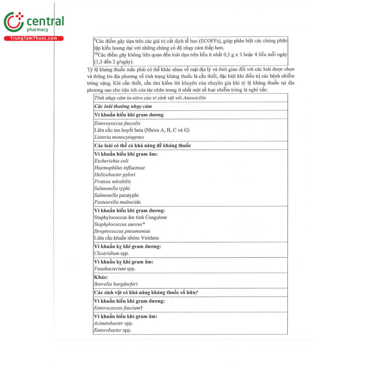 thabamox 500 dt 13 O5231 thabamox 500 dt 13 O5231