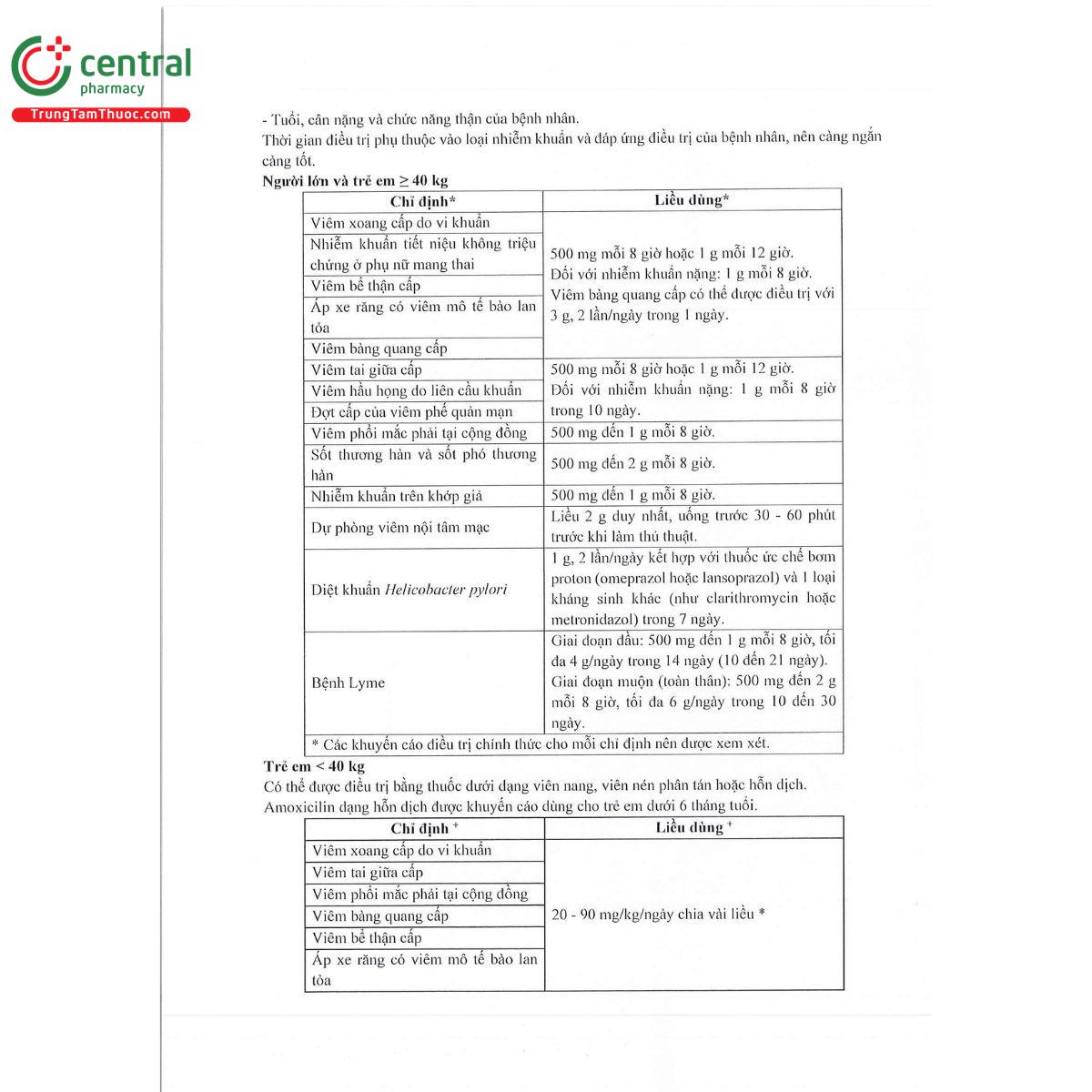 thabamox 500 dt 5 I3310 thabamox 500 dt 5 I3310