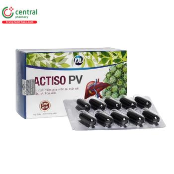 Actiso PV
