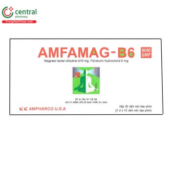 Amfamag-B6
