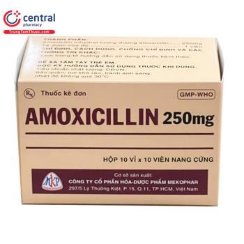 Amoxicillin 250mg Mekophar