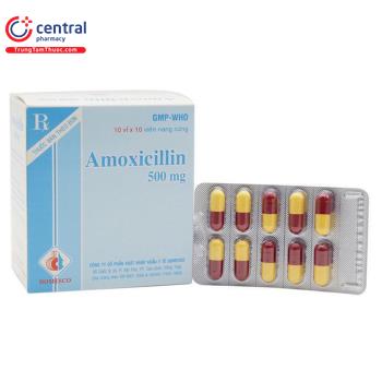Amoxicillin 500mg Domesco (nâu - vàng)