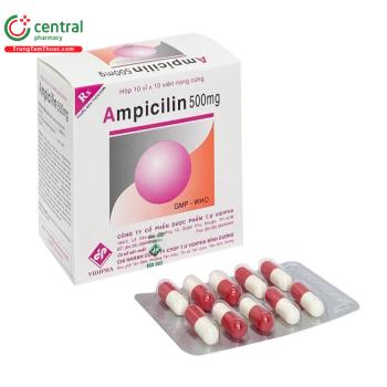 Ampicilin 500mg Vidipha