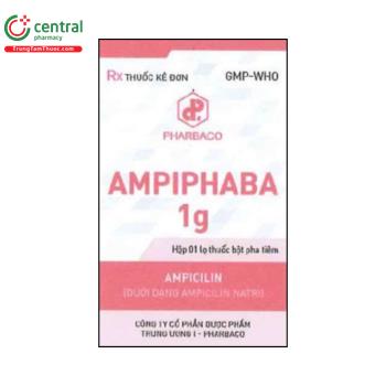  Ampiphaba 1g