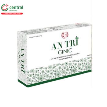 An Trĩ Ginic