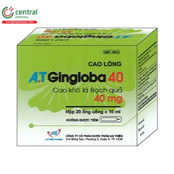 A.T Gingloba 40