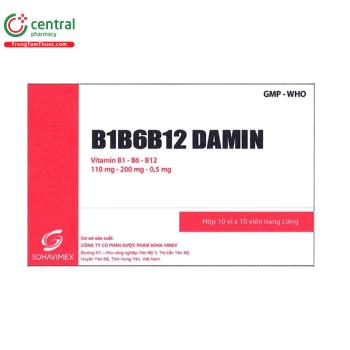 B1B6B12 Damin 