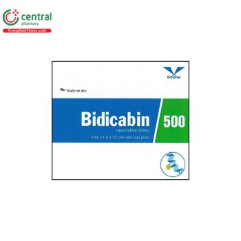 Bidicabin 500