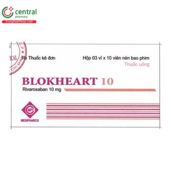 Blokheart 10