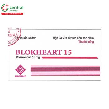 Blokheart 15